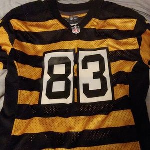 Youth Steeler jersey
